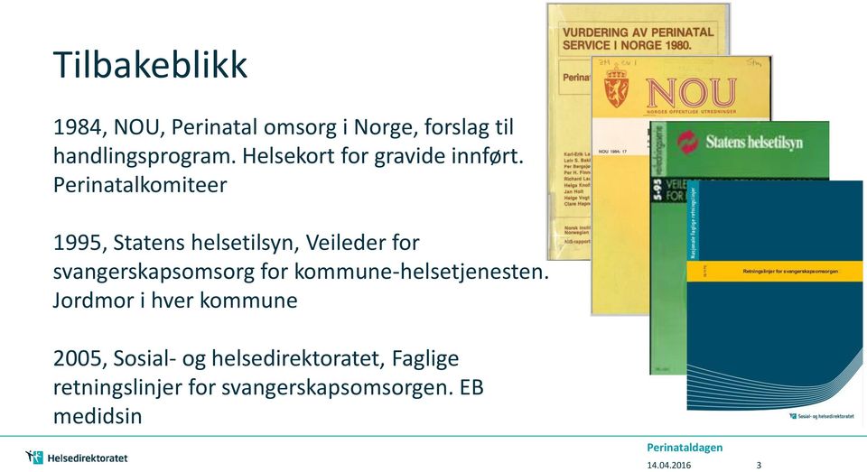 Perinatalkomiteer 1995, Statens helsetilsyn, Veileder for svangerskapsomsorg for