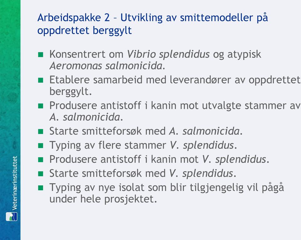 Produsere antistoff i kanin mot utvalgte stammer av A. salmonicida. Starte smitteforsøk med A. salmonicida. Typing av flere stammer V.