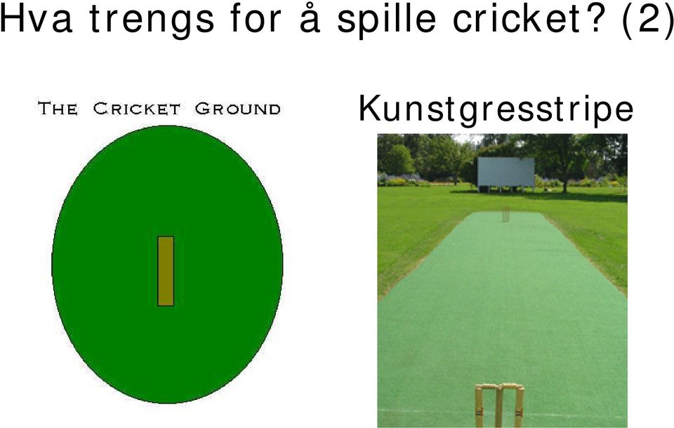 cricket?