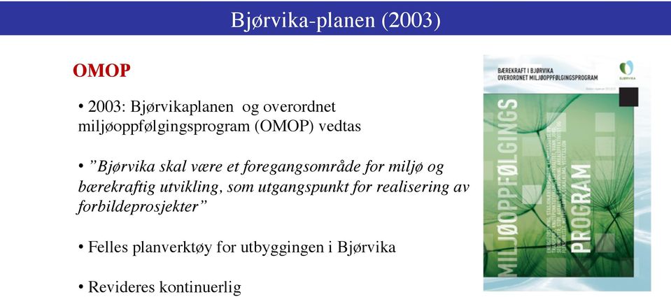 foregangsområde for miljø og bærekraftig utvikling, som utgangspunkt for