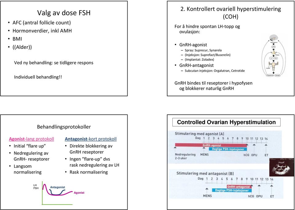 Subcutan injeksjon: Orgalutran, Cetrotide GnRH bindes til reseptorer i hypofysen og blokkerer naturlig GnRH Behandlingsprotokoller Controlled Ovarian Hyperstimulation Agonist lang protokoll Initial