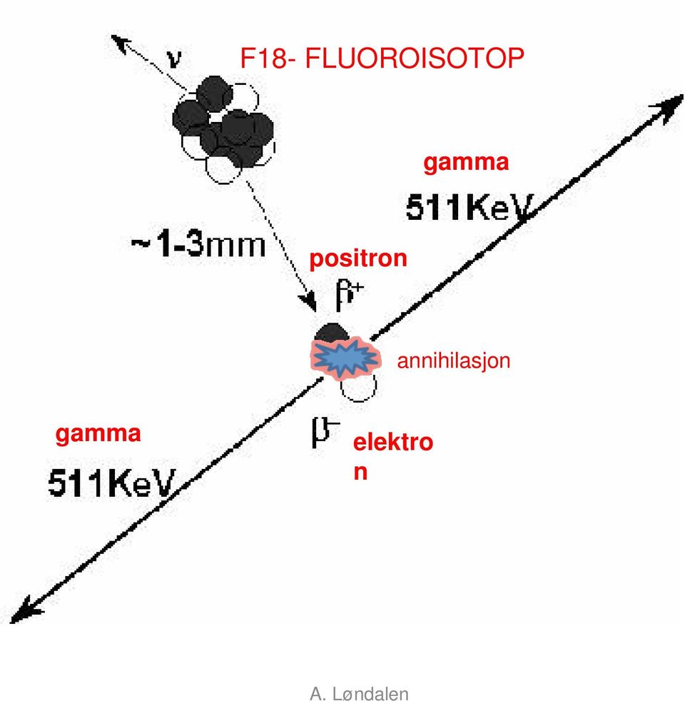 gamma positron