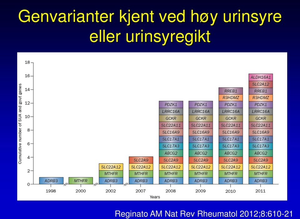 urinsyregikt Reginato AM