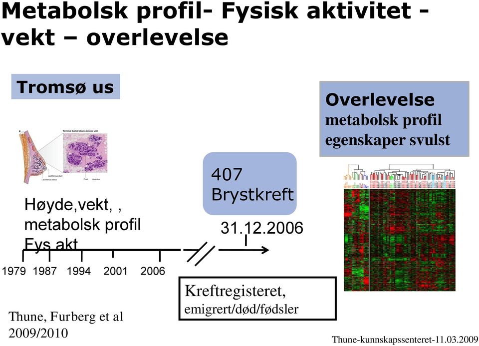 metabolsk profil Fys akt 1979 1987 1994 2001 2006 Thune, Furberg