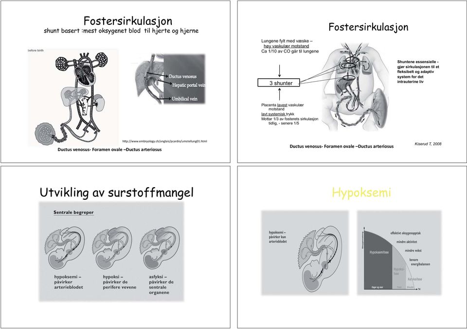 til et fleksibelt og adaptiv system for det intrauterine liv Placenta lavest vaskulær motstand lavt systemisk