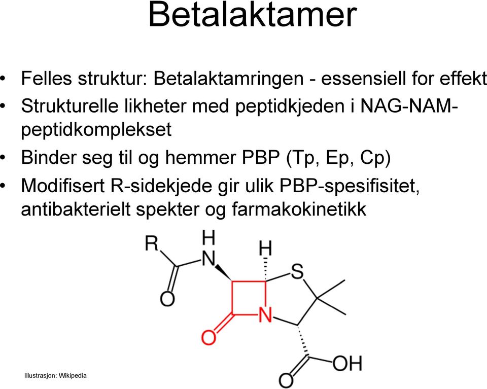 seg til og hemmer PBP (Tp, Ep, Cp) Modifisert R-sidekjede gir ulik