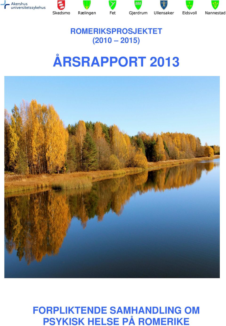 (2010 2015) ÅRSRAPPORT 2013