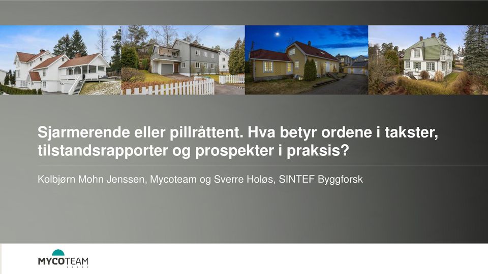 tilstandsrapporter og prospekter i