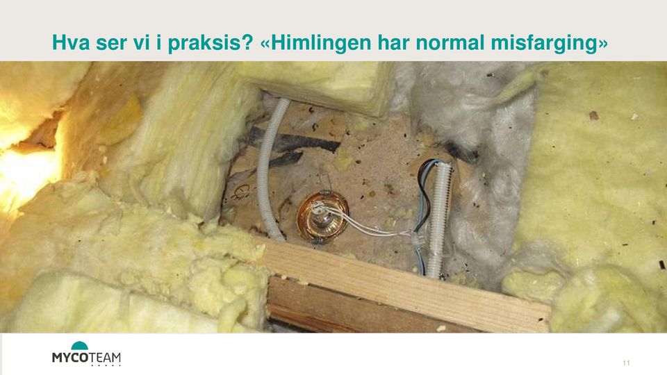 «Himlingen har