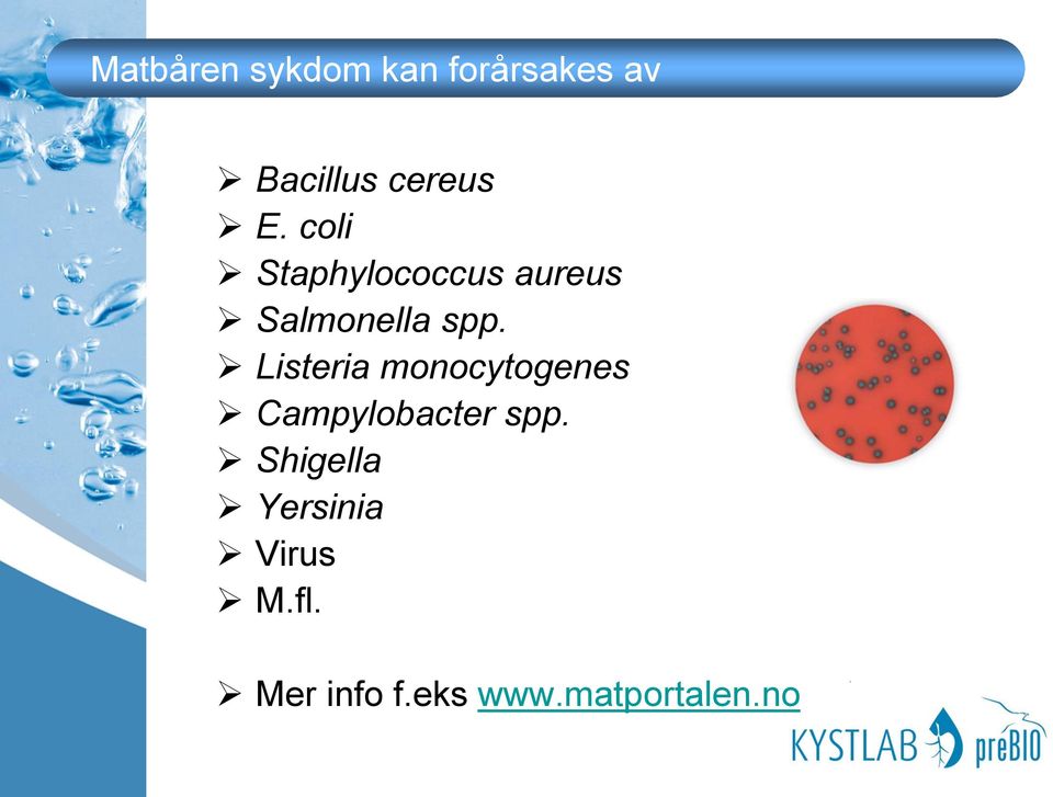 Listeria monocytogenes Campylobacter spp.