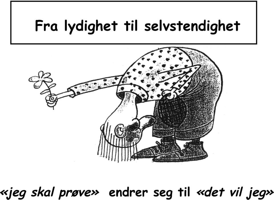 skal prøve» endrer