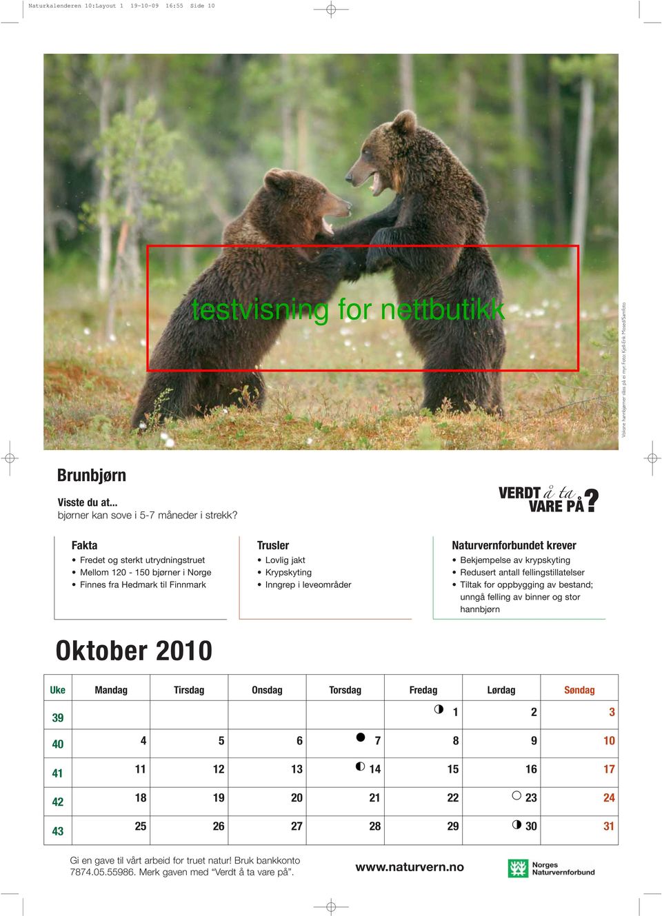 Fredet og sterkt utrydningstruet Mellom 0-0 bjørner i Norge Finnes fra Hedmark til Finnmark Lovlig jakt Krypskyting