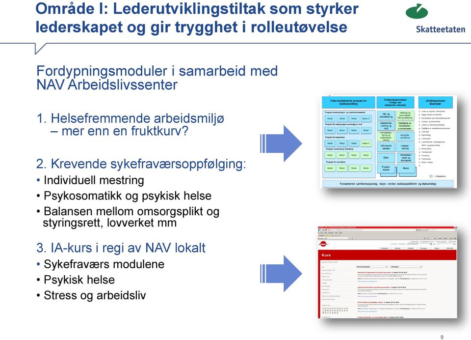 Krevende sykefraværsoppfølging: Individuell mestring Psykosomatikk og psykisk helse Balansen mellom