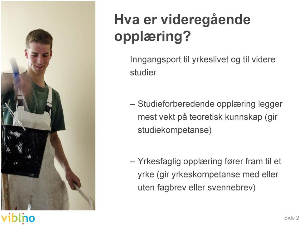 opplæring legger mest vekt på teoretisk kunnskap (gir studiekompetanse)