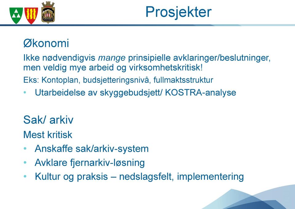 Eks: Kontoplan, budsjetteringsnivå, fullmaktsstruktur Utarbeidelse av skyggebudsjett/