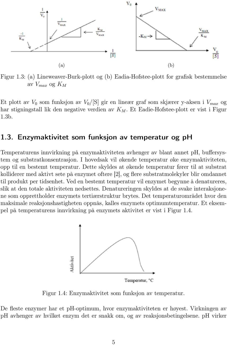 stigningstall lik den negative verdien av K M. Et Eadie-Hofstee-plott er vist i Figur 1.3b