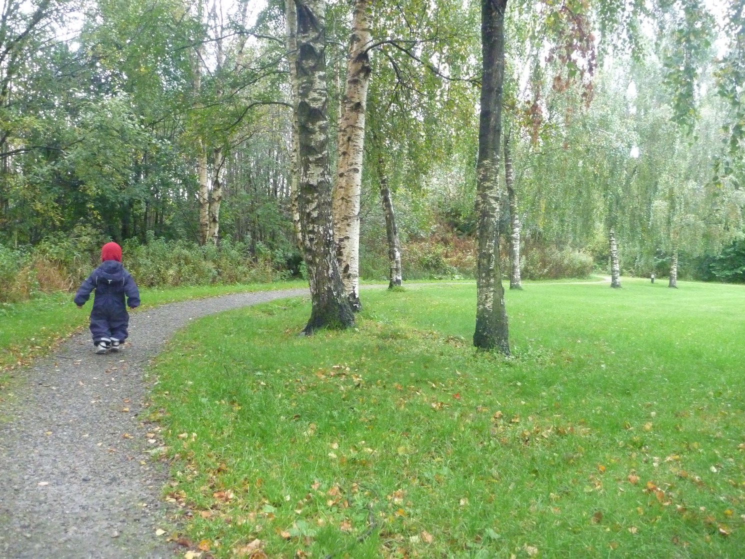 TOMMELITEN November 2016 Oktober på Tommeliten Mye har skjedd på avdelingen denne måneden. Ikke minst blant barn og voksne. Ishan har begynt, Margrethe har sluttet og Liv er ny pedagogisk leder.