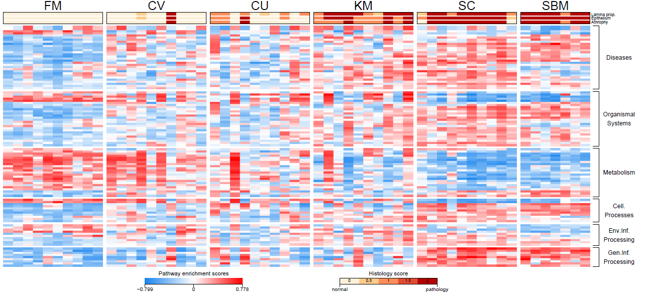 Gjær gir redusert uttrykk av gener som gir betennelsesreaksjoner i baktarm Heat map - Gene