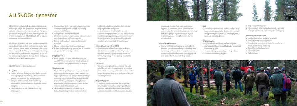 Der skogeieren selv er aktiv i skogen, kan ALLSKOG gi råd og tilpasse tjenester og bistand etter behov.