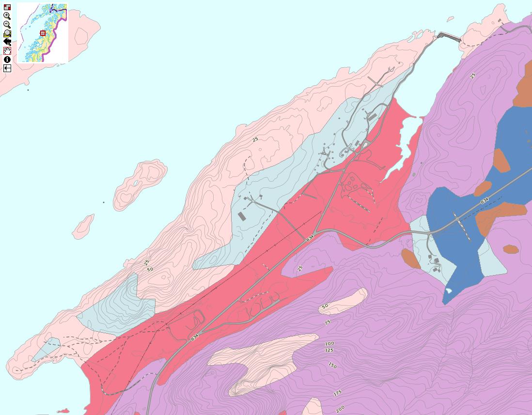 områdene med innslag av tynt løsmassedekke og tynn strandavsetning (lys blå farge). Skiphaugen i øst består av forvitringsmateriale (lilla farge). Løsmassekart hentet fra NGU sin kartløsning på nett.