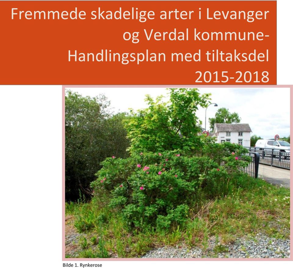 kommune- Handlingsplan med