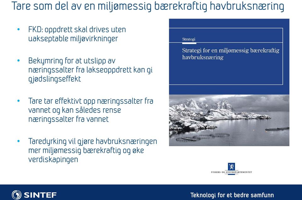 gjødslingseffekt Tare tar effektivt opp næringssalter fra vannet og kan således rense