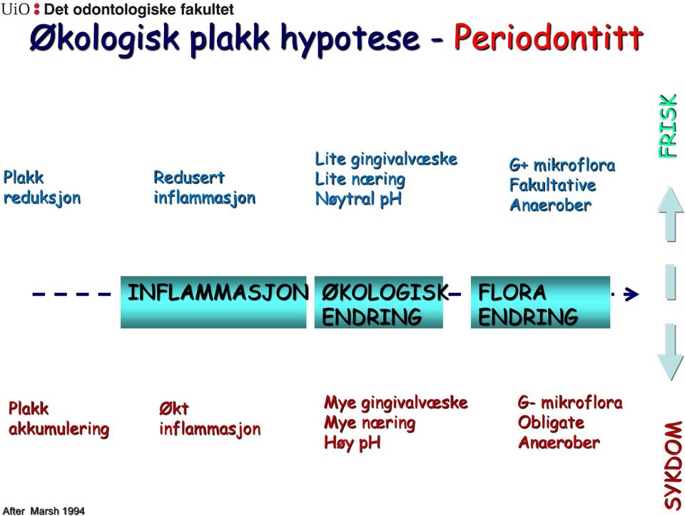 INFLAMMASJON ØKOLOGISK ENDRING FLORA ENDRING Plakk akkumulering Økt inflammasjon