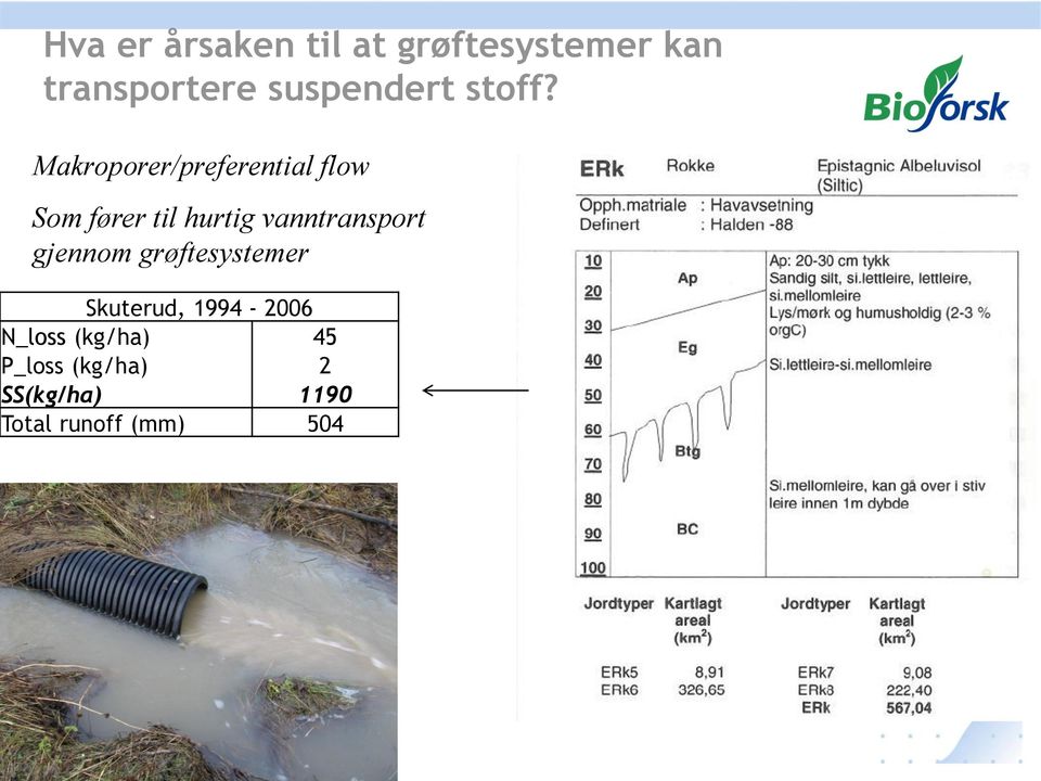 Makroporer/preferential flow Som fører til hurtig