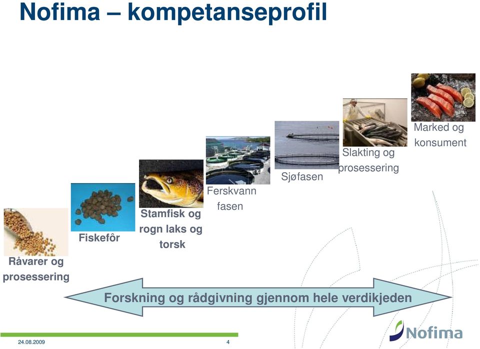 fasen Sjøfasen Slakting og prosessering Marked og