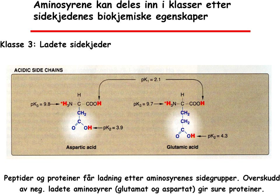 proteiner får ladning etter aminosyrenes sidegrupper.