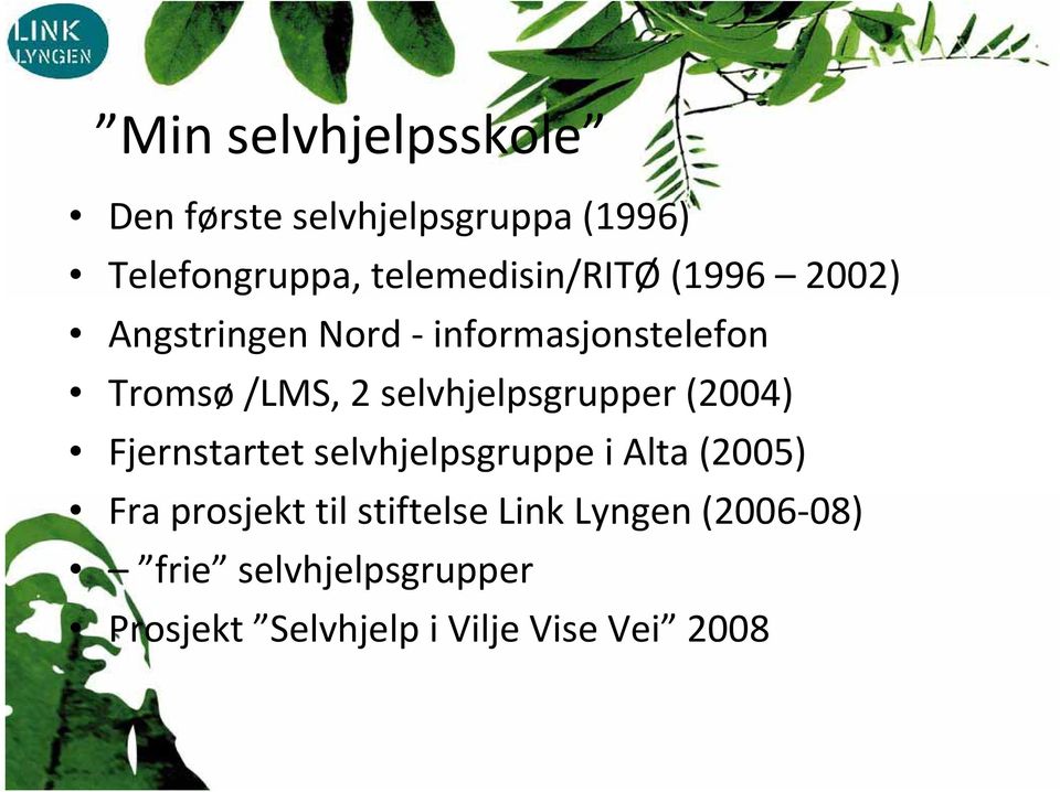 selvhjelpsgrupper (2004) Fjernstartet selvhjelpsgruppe i Alta (2005) Fra prosjekt