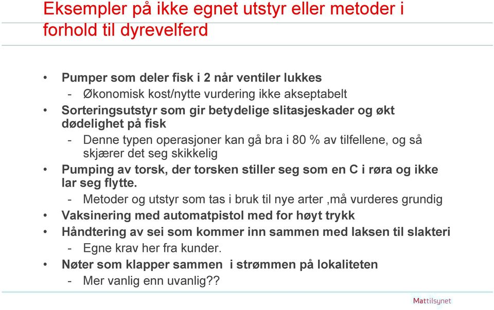 av torsk, der torsken stiller seg som en C i røra og ikke lar seg flytte.