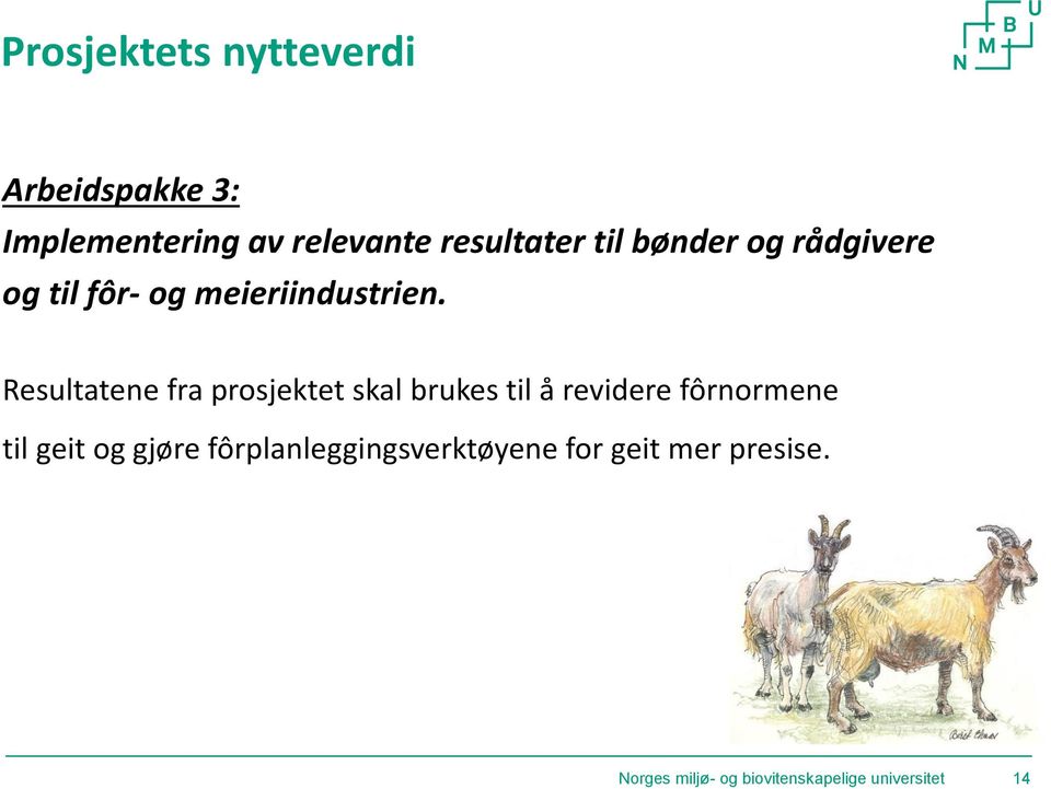 Resultatene fra prosjektet skal brukes til å revidere fôrnormene til geit og