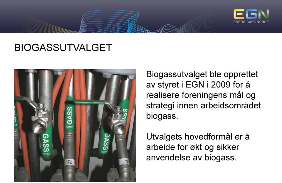 strategi innen arbeidsområdet biogass.