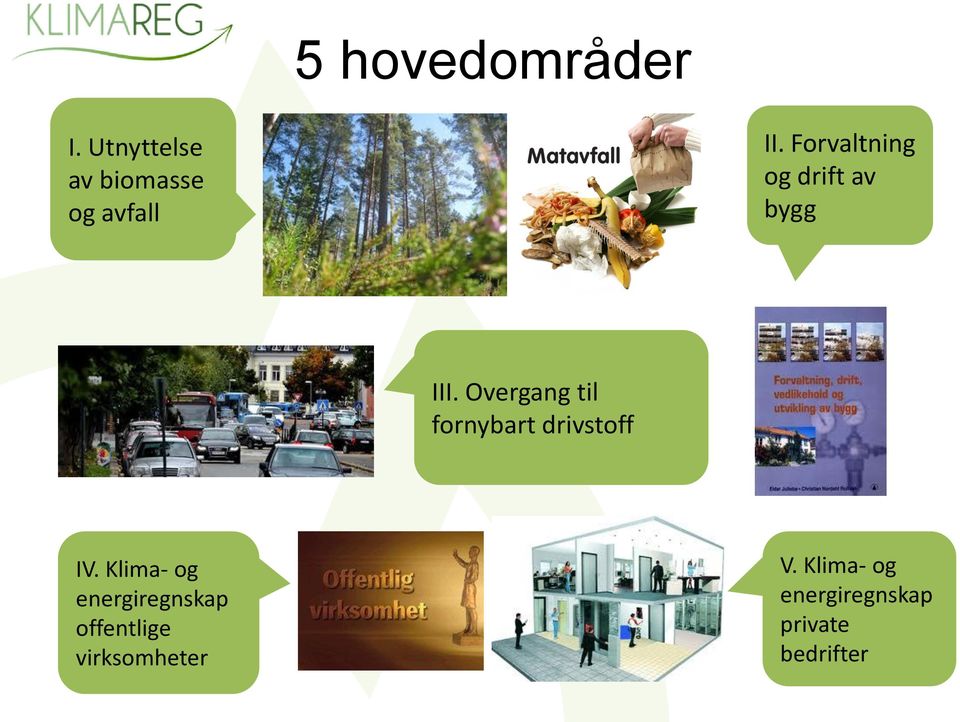 Overgang til fornybart drivstoff IV.