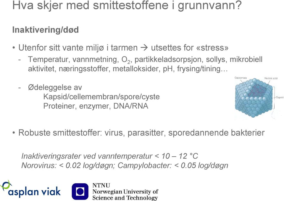 partikkeladsorpsjon, sollys, mikrobiell aktivitet, næringsstoffer, metalloksider, ph, frysing/tining - Ødeleggelse av