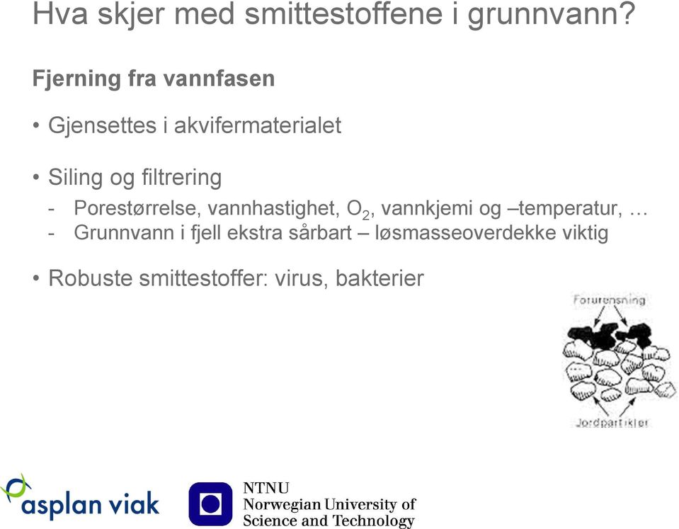 filtrering - Porestørrelse, vannhastighet, O 2, vannkjemi og