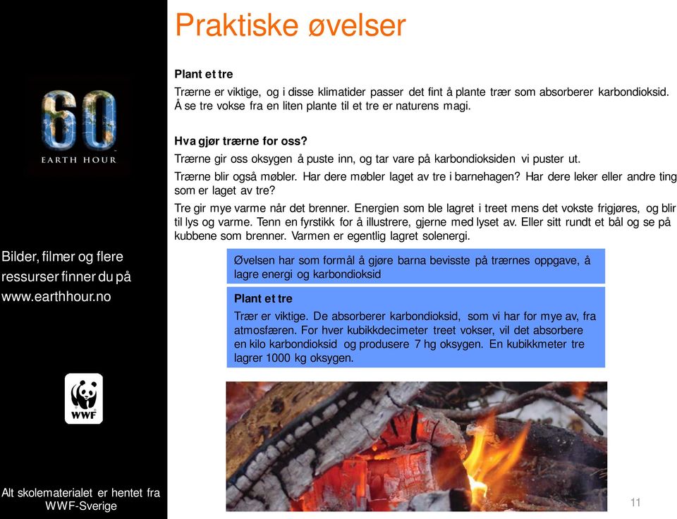 Har dere leker eller andre ting som er laget av tre? Tre gir mye varme når det brenner. Energien som ble lagret i treet mens det vokste frigjøres, og blir til lys og varme.