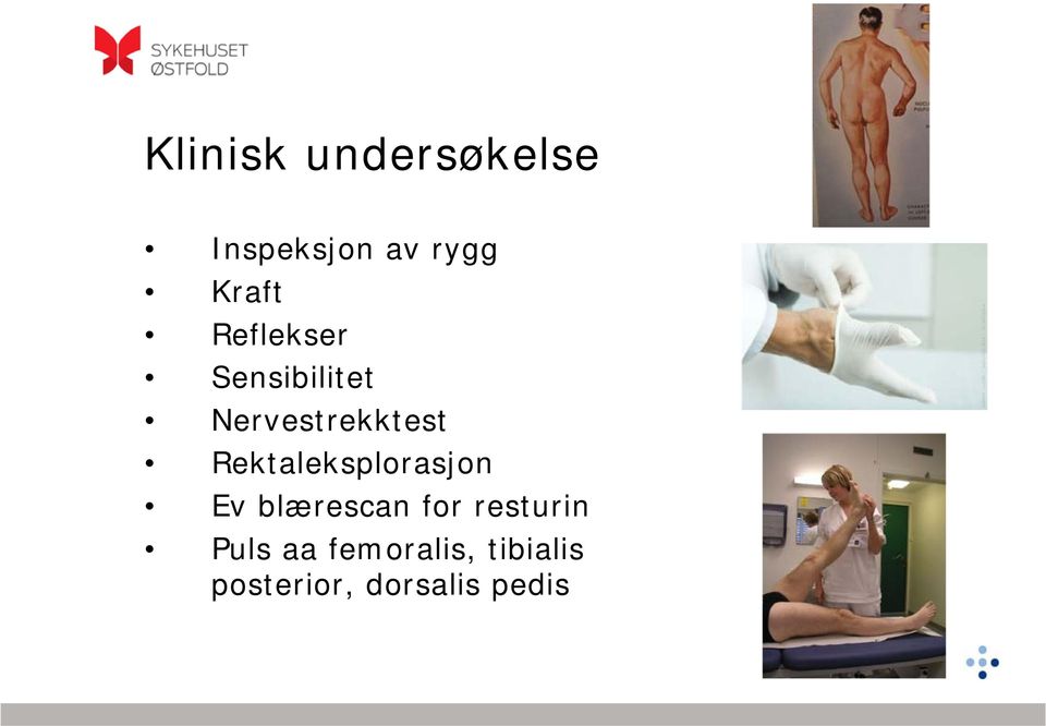 Rektaleksplorasjon Ev blærescan for resturin