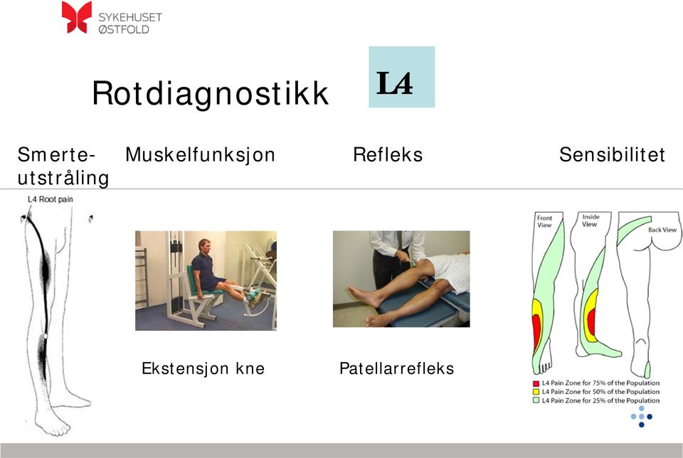 Sensibilitet utstråling