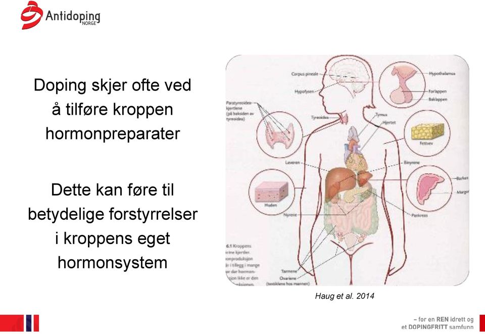 føre til betydelige forstyrrelser i