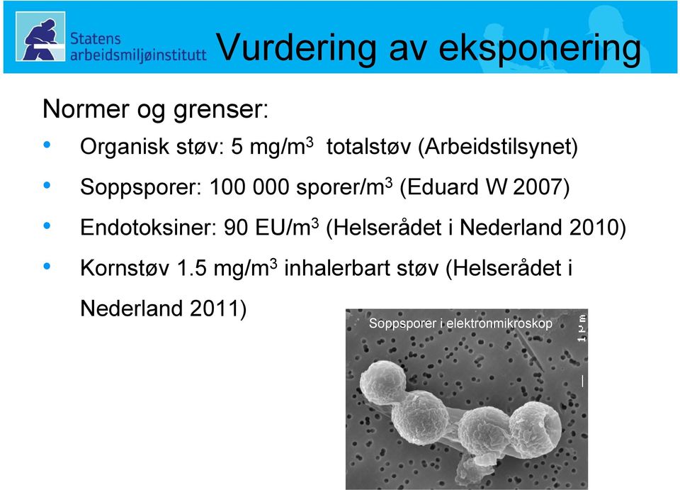 2007) Endotoksiner: 90 EU/m 3 (Helserådet i Nederland 2010) Kornstøv 1.