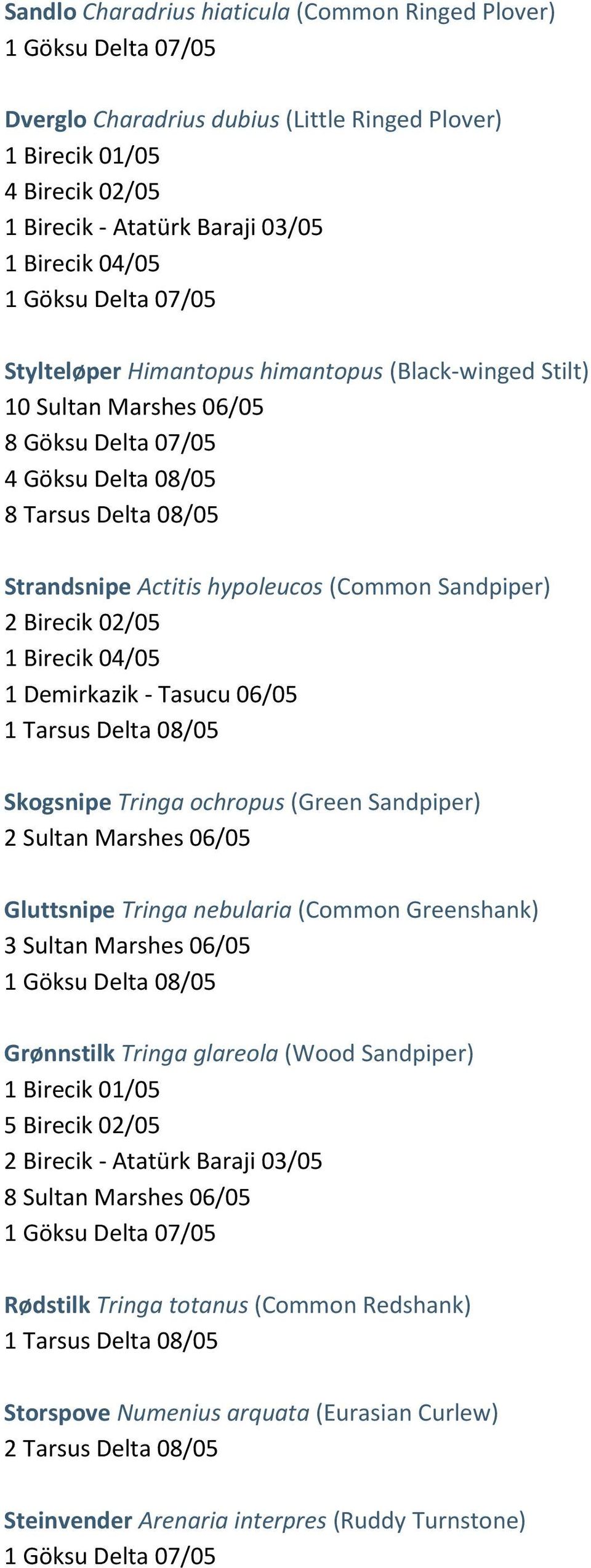 (Common Sandpiper) 2 Birecik 02/05 1 Birecik 04/05 1 Demirkazik - Tasucu 06/05 1 Tarsus Delta 08/05 Skogsnipe Tringa ochropus (Green Sandpiper) 2 Sultan Marshes 06/05 Gluttsnipe Tringa nebularia