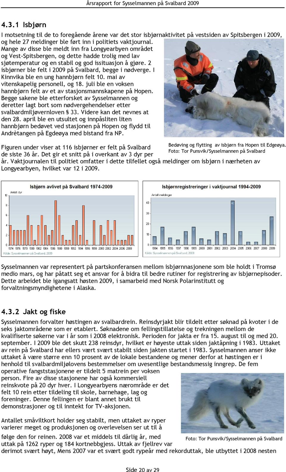 2 isbjørner ble felt i 2009 på Svalbard, begge i nødverge. I Kinnvika ble en ung hannbjørn felt 10. mai av vitenskapelig personell, og 18.