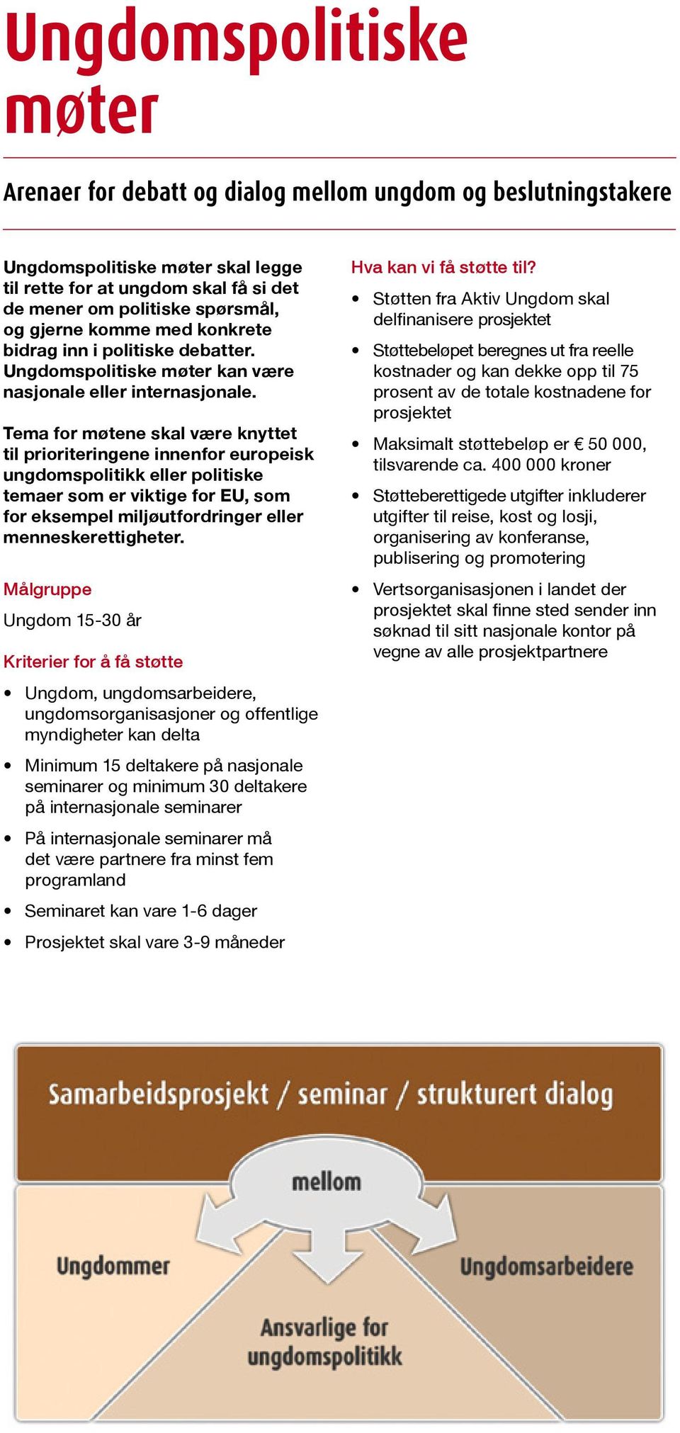 Tema for møtene skal være knyttet til prioriteringene innenfor europeisk ungdomspolitikk eller politiske temaer som er viktige for EU, som for eksempel miljøutfordringer eller menneskerettigheter.