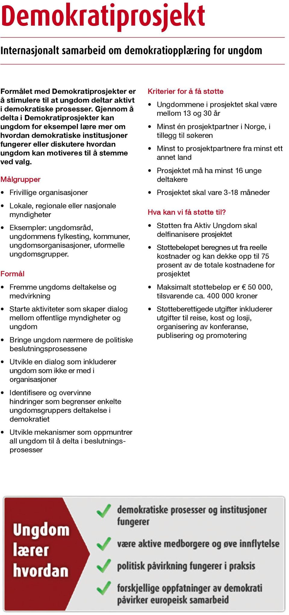 Målgrupper Frivillige organisasjoner Lokale, regionale eller nasjonale myndigheter Eksempler: ungdomsråd, ungdommens fylkesting, kommuner, ungdomsorganisasjoner, uformelle ungdomsgrupper.