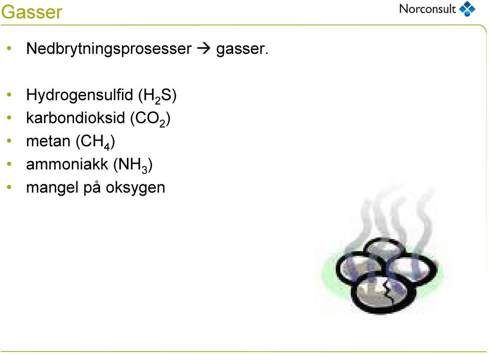 Hydrogensulfid (H 2 S)