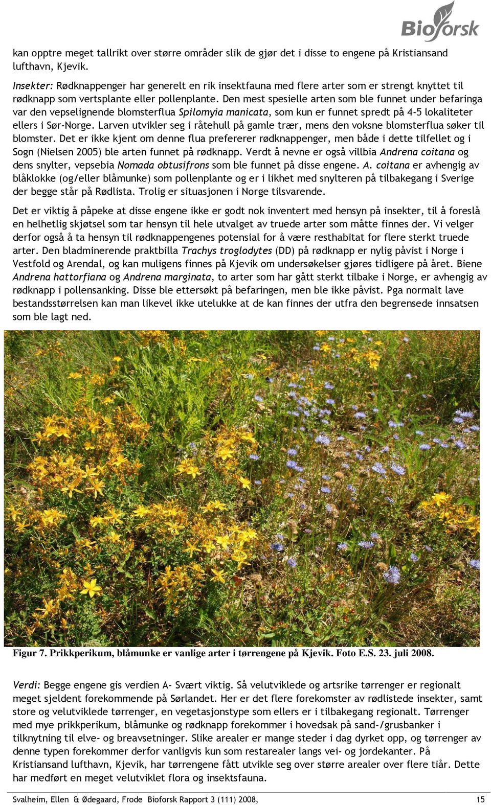 Den mest spesielle arten som ble funnet under befaringa var den vepselignende blomsterflua Spilomyia manicata, som kun er funnet spredt på 4-5 lokaliteter ellers i Sør-Norge.