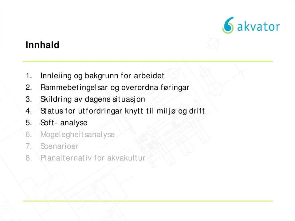 Skildring av dagens situasjon 4.