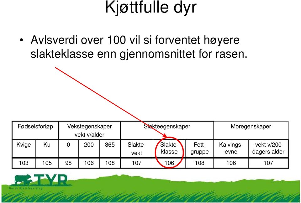 forventet høyere